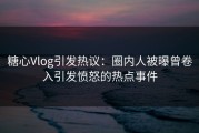 糖心Vlog引发热议：圈内人被曝曾卷入引发愤怒的热点事件