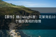 【震惊】糖心vlog科普：花絮背后10个细节真相的隐情