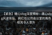 【紧急】糖心vlog深度揭秘：唐心vlog风波背后，网红在公司会议室的角色极其令人意外