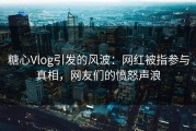 糖心Vlog引发的风波：网红被指参与真相，网友们的愤怒声浪