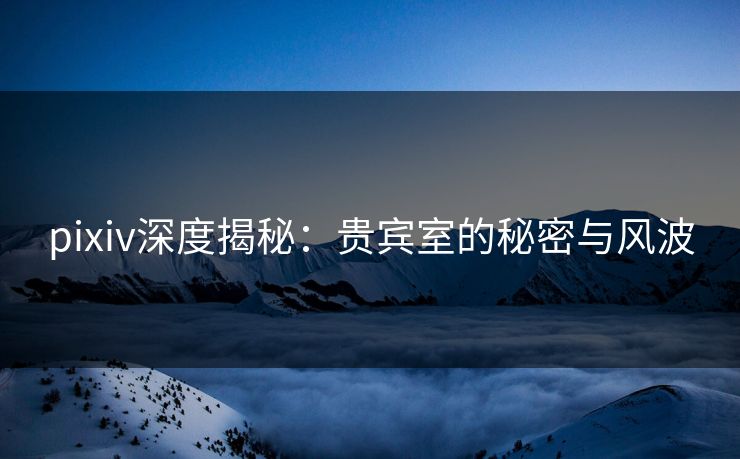 pixiv深度揭秘：贵宾室的秘密与风波