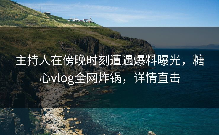 主持人在傍晚时刻遭遇爆料曝光，糖心vlog全网炸锅，详情直击