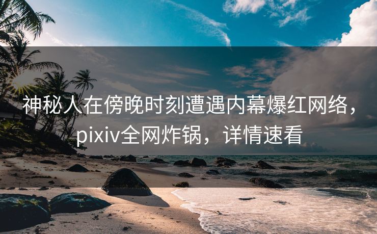 神秘人在傍晚时刻遭遇内幕爆红网络，pixiv全网炸锅，详情速看