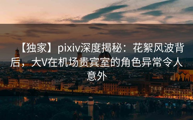 【独家】pixiv深度揭秘:花絮风波背后,大V在机场贵宾室的角色异常令人意外 【独家】pixiv深度揭秘:花絮风波背后,大V在机场贵宾室的角色异常令人意外