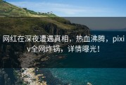 网红在深夜遭遇真相，热血沸腾，pixiv全网炸锅，详情曝光！