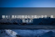 曝光！黑料网曝疑似泄露XX录音，真假成谜！