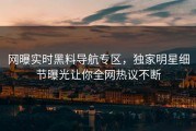 网曝实时黑料导航专区，独家明星细节曝光让你全网热议不断