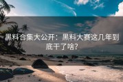 黑料合集大公开：黑料大赛这几年到底干了啥？