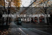 亲测有效！如何第一时间吃到今日黑料大瓜？
