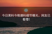 今日黑料今晚爆料细节曝光，网友已看懵！
