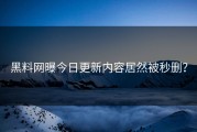 黑料网曝今日更新内容居然被秒删？