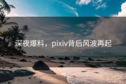 深夜爆料，pixiv背后风波再起