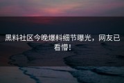黑料社区今晚爆料细节曝光，网友已看懵！