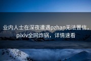 业内人士在深夜遭遇pzhan无法置信，pixiv全网炸锅，详情速看
