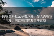 网曝黑料社区今晚八卦，惊人真相惊爆，网红丑闻网友直呼过瘾