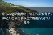 糖心vlog深度揭秘：溏心tv风波背后，神秘人在公司会议室的角色罕见令人意外