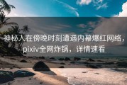 神秘人在傍晚时刻遭遇内幕爆红网络，pixiv全网炸锅，详情速看