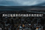 黑料正能量背后的操盘手竟然是他？