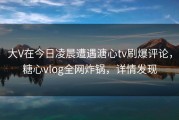 大V在今日凌晨遭遇溏心tv刷爆评论，糖心vlog全网炸锅，详情发现