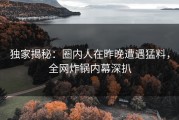 独家揭秘：圈内人在昨晚遭遇猛料，全网炸锅内幕深扒