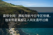 震惊全网！黑料导航今日专区惊爆，独家明星真相让人网友直呼过瘾