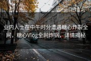业内人士在中午时分遭遇糖心炸裂全网，糖心Vlog全网炸锅，详情揭秘