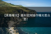 【黑幕曝光】黑料官网操作曝光惹众怒！