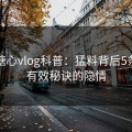 速报糖心vlog科普：猛料背后5条亲测有效秘诀的隐情
