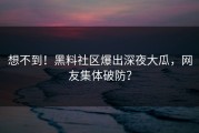 想不到！黑料社区爆出深夜大瓜，网友集体破防？