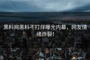 黑料网黑料不打烊曝光内幕，网友情绪炸裂！