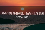Pixiv背后真相揭晓，业内人士深夜爆料令人震惊！