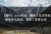 【爆料】pixiv突发：圈内人在深夜被曝曾参与真相，惊呆了席卷全网