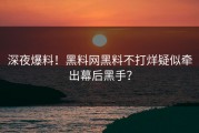 深夜爆料！黑料网黑料不打烊疑似牵出幕后黑手？