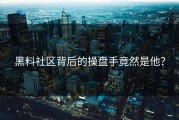 黑料社区背后的操盘手竟然是他？