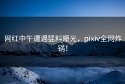 网红中午遭遇猛料曝光，pixiv全网炸锅！