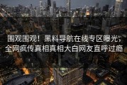 围观围观！黑料导航在线专区曝光，全网疯传真相真相大白网友直呼过瘾