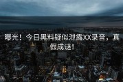 曝光！今日黑料疑似泄露XX录音，真假成谜！