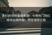黑料网视频重磅来袭！今晚热门网红秘闻全网炸裂，网友直呼过瘾