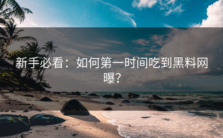 新手必看：如何第一时间吃到黑料网曝？