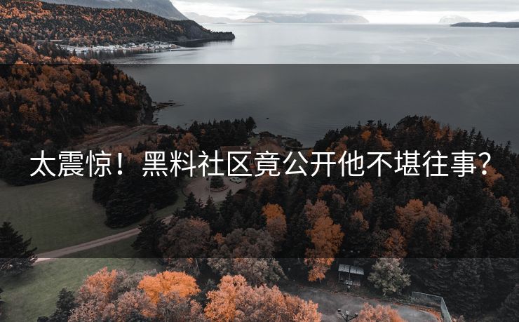 太震惊！黑料社区竟公开他不堪往事？