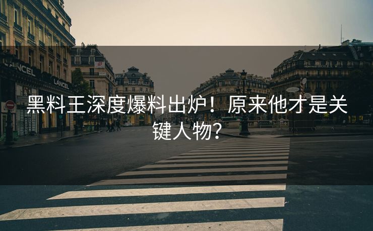 黑料王深度爆料出炉！原来他才是关键人物？