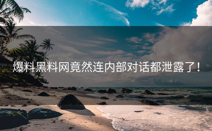 爆料黑料网竟然连内部对话都泄露了！