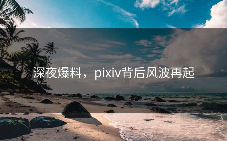 深夜爆料，pixiv背后风波再起