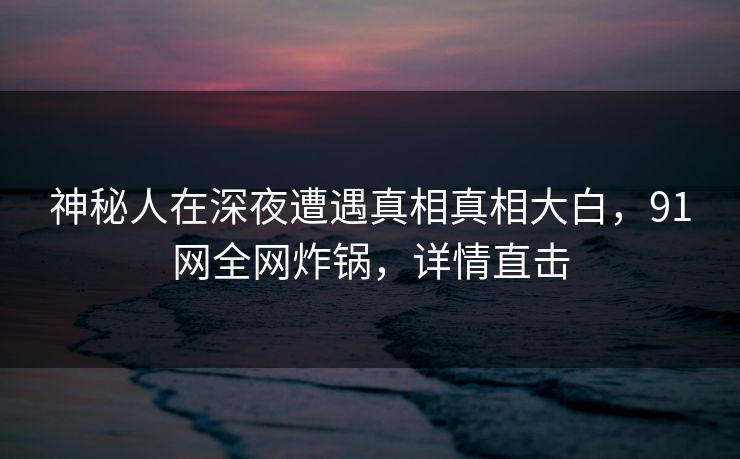 神秘人在深夜遭遇真相真相大白，91网全网炸锅，详情直击