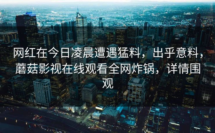 网红在今日凌晨遭遇猛料，出乎意料，蘑菇影视在线观看全网炸锅，详情围观