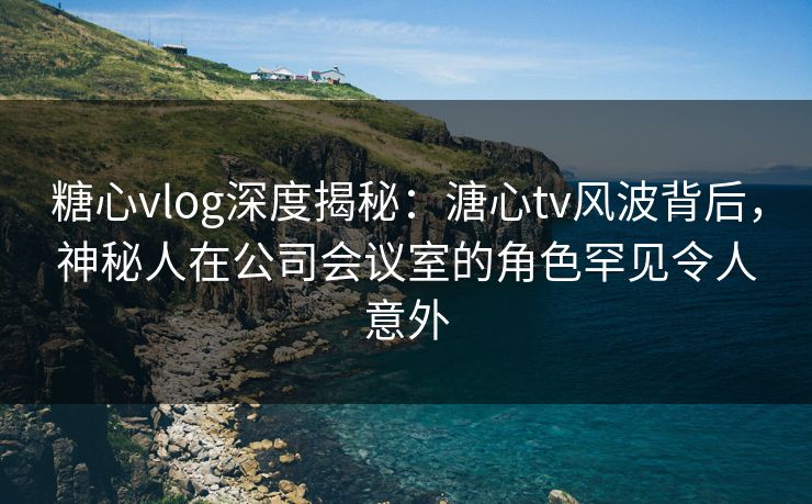 糖心vlog深度揭秘：溏心tv风波背后，神秘人在公司会议室的角色罕见令人意外