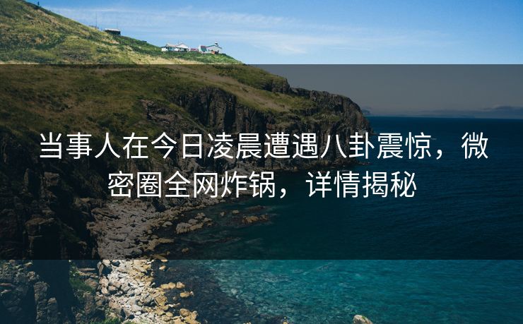 当事人在今日凌晨遭遇八卦震惊，微密圈全网炸锅，详情揭秘