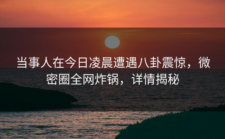 当事人在今日凌晨遭遇八卦震惊，微密圈全网炸锅，详情揭秘