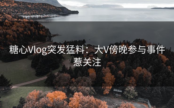 糖心Vlog突发猛料：大V傍晚参与事件惹关注