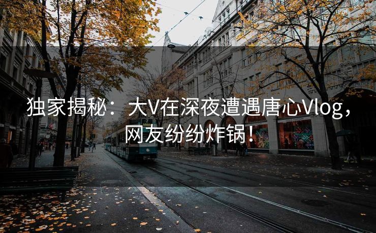 独家揭秘:大V在深夜遭遇唐心Vlog,网友纷纷炸锅! 独家揭秘:大V在深夜遭遇唐心Vlog,网友纷纷炸锅!